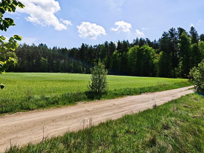 Działki budowlane, las, Mazury, Warunki Zabudowy|Dom do 120m