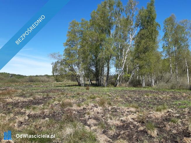Działka 10 h