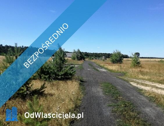 Ostatnia działka nad jeziorem w Wielkopolsce