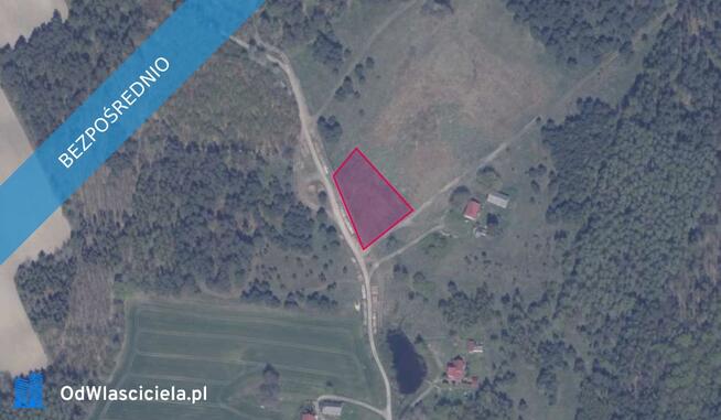 Działka 77/1 w miejscowości Błotnia