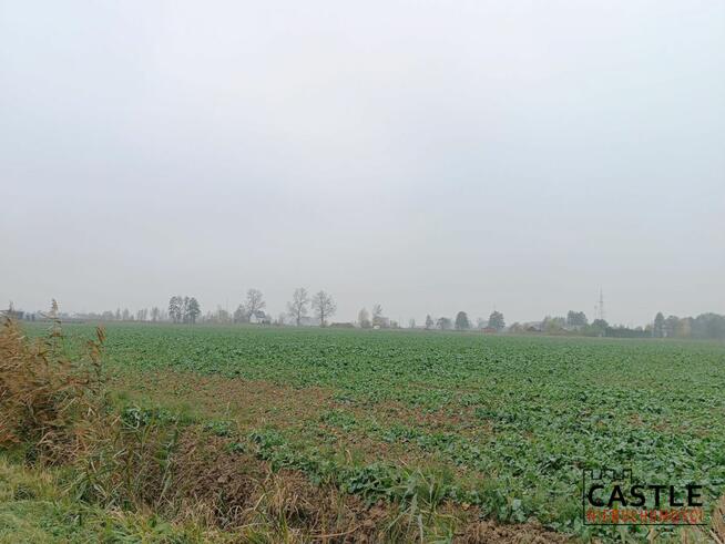 Działka inwestycyjna Kąty Rybackie gm. Sztutowo, Wierzbowa