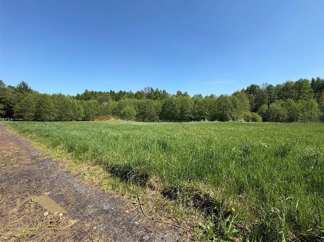 Działka leśna Mszana