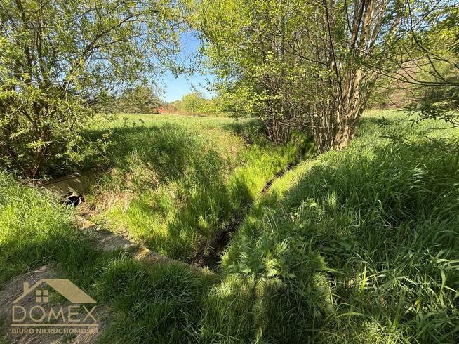 Działka leśna Mszana