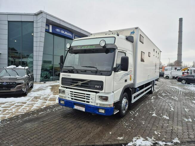 Volvo FM 7 / DO PRZEWOZU BYDŁA I KONI / 5 MIEJSC DLA KONI