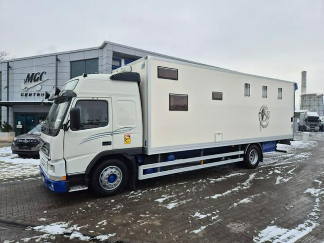 Volvo FM 7 / DO PRZEWOZU BYDŁA I KONI / 5 MIEJSC DLA KONI