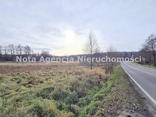 Działka Jabłów gm. Stare Bogaczowice