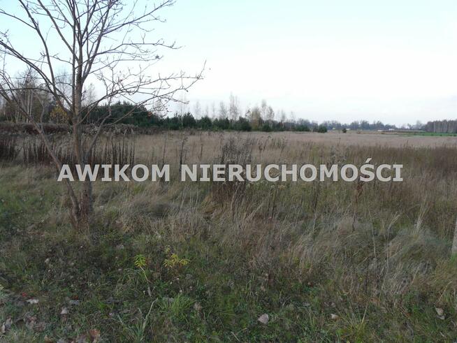 Działka siedliskowa Skierniewice Sierakowice Lewe