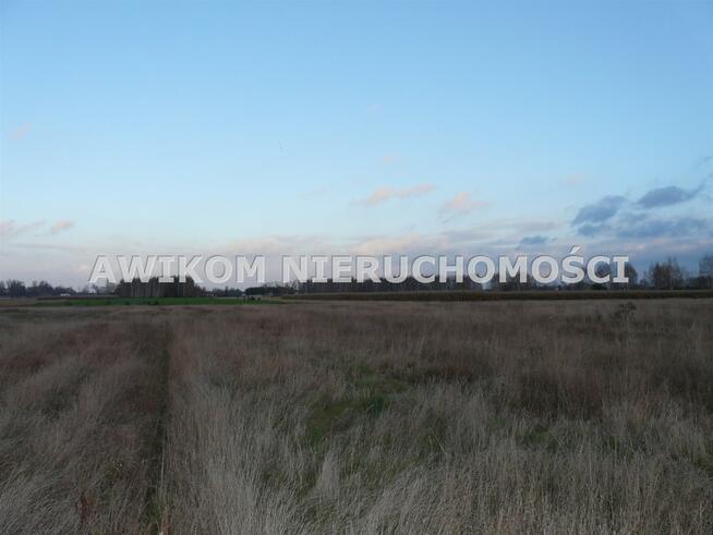 Działka siedliskowa Skierniewice Sierakowice Lewe