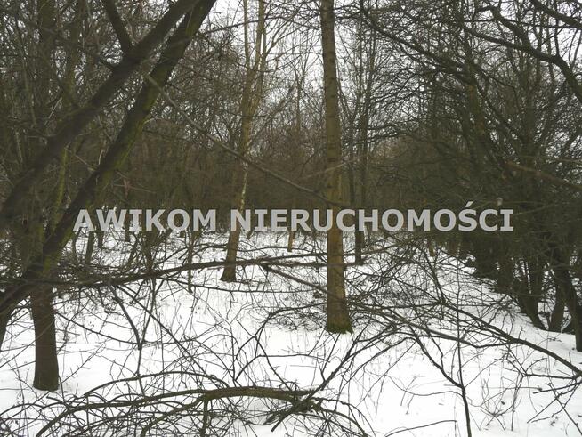 Działka rolna Skierniewice