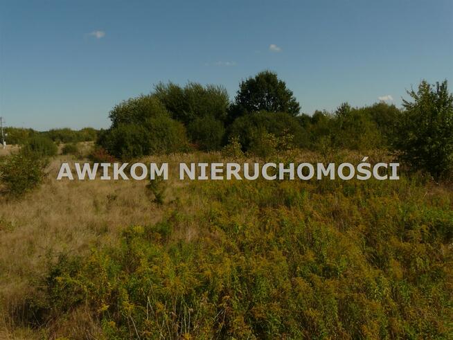 Działka inwestycyjna Skierniewice