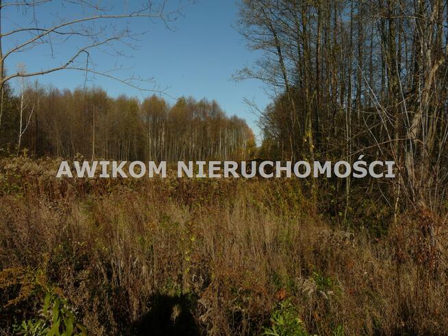 Działka rekreacyjna Budy Zaklasztorne gm. Puszcza Mariańska