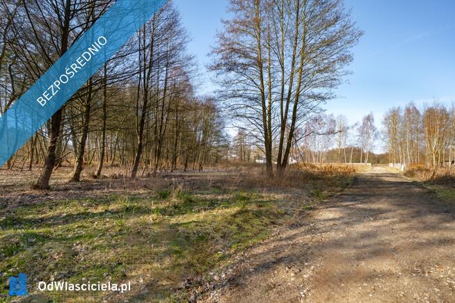 Działka pod lasem z wydanymi warunkami tylko 120 zł/m2
