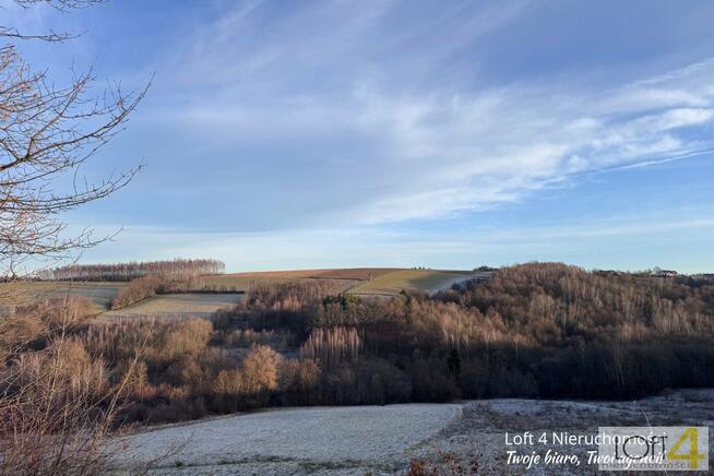 Działka leśna Rzepiennik Strzyżewski