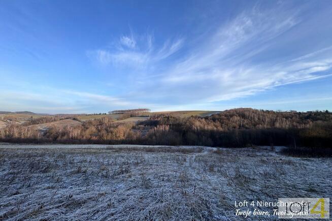 Działka leśna Rzepiennik Strzyżewski