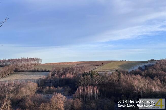 Działka leśna Rzepiennik Strzyżewski