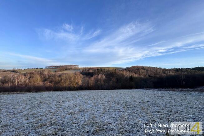 Działka leśna Rzepiennik Strzyżewski