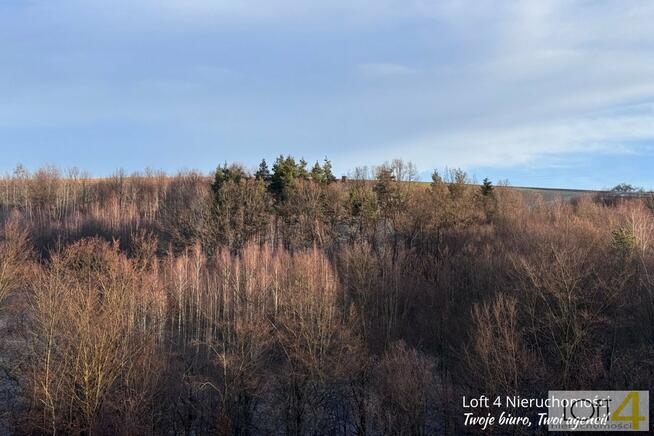 Działka leśna Rzepiennik Strzyżewski
