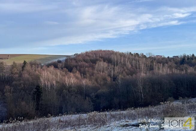 Działka leśna Rzepiennik Strzyżewski