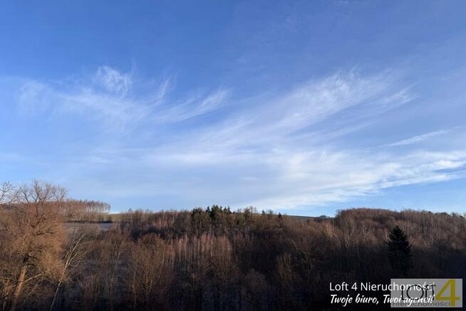 Działka leśna Rzepiennik Strzyżewski