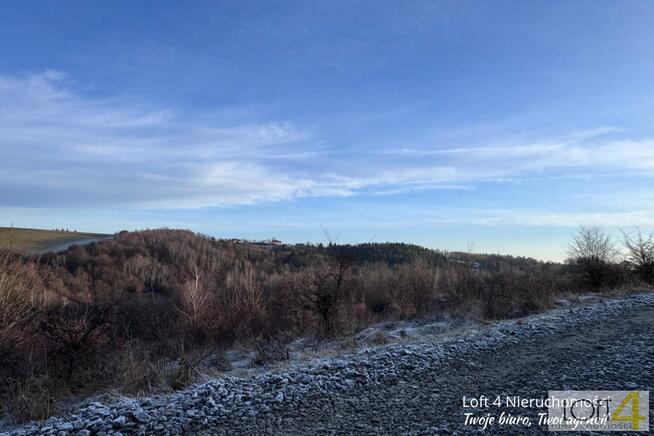 Działka leśna Rzepiennik Strzyżewski