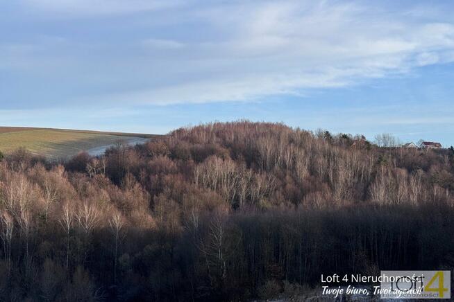 Działka leśna Rzepiennik Strzyżewski