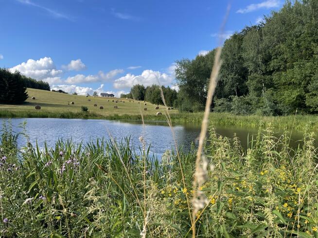 Sprzedam atrakcyjne działki budowlane koło Elbląga