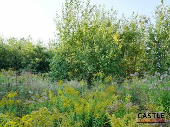 Działka przemysłowa Pruszcz Gdański, Obrońców Westerplatte