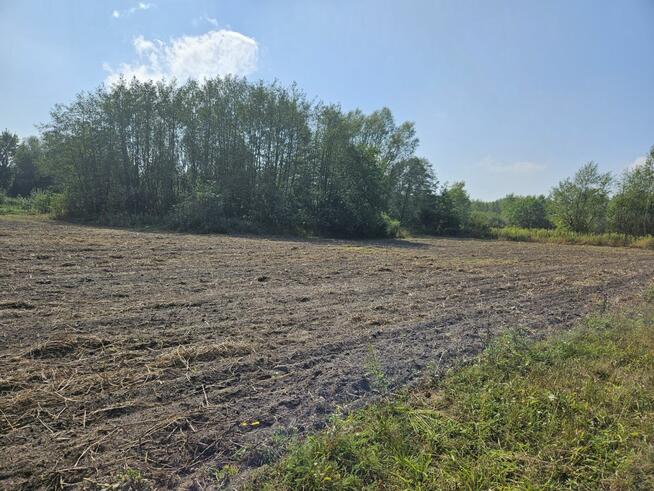 Działka budowlana Zadębie gm. Prażmów,