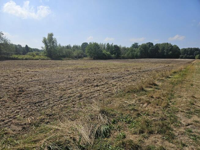 Działka budowlana Zadębie gm. Prażmów,