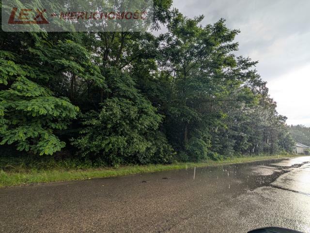 Działka budowlana Mitręga gm. Łazy