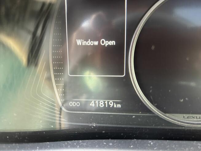 Piękny Lexus UX 250H