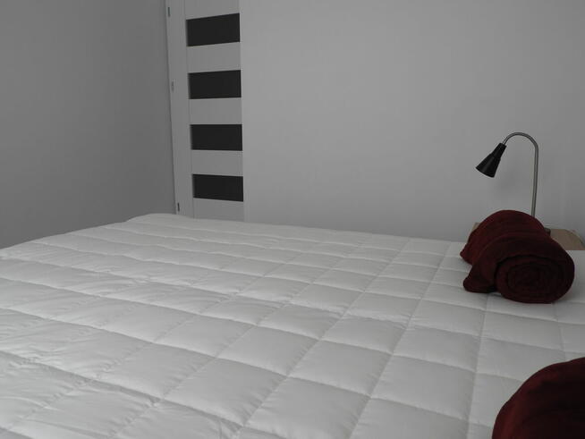 Rakowicka mieszkanie 2 pokojowe