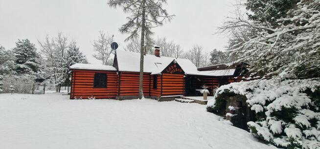 Dom, Villa Sylwester, Las, Impreza, Sauna