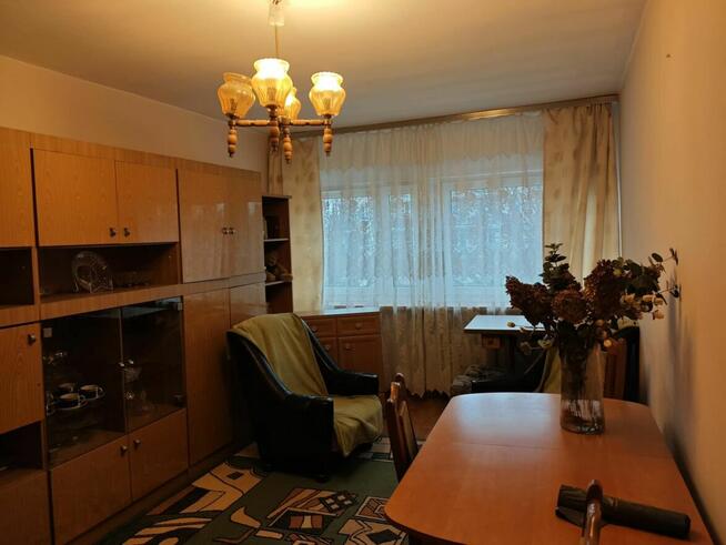 M3Widzew pełen rozkład do wprowadzenia dobra cena