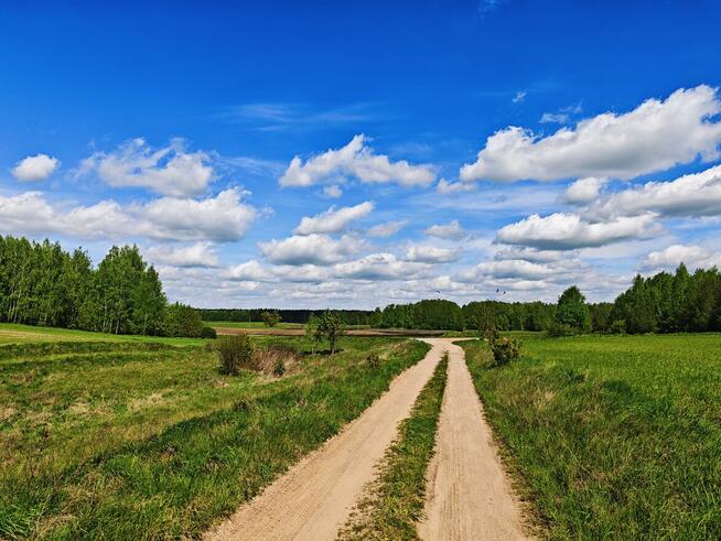 Działki budowlane, las, Mazury, Warunki Zabudowy|Dom do 120m