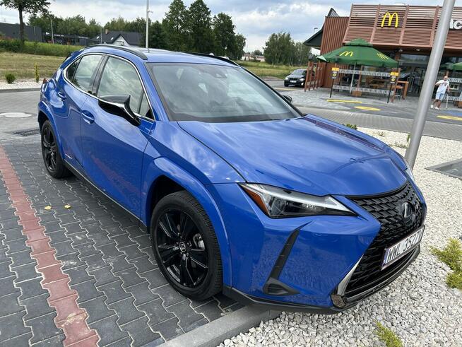 Piękny Lexus UX 250H