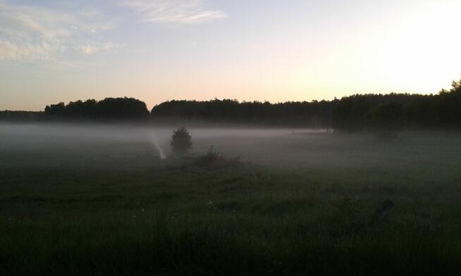 Działki budowlane, las, Mazury, Warunki Zabudowy|Dom do 120m