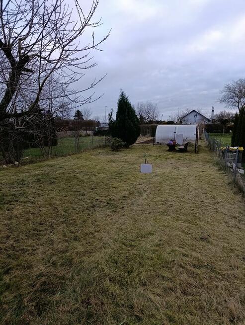 Działka ogrodowa ROD Kwitnących Jabłoni w Koszalinie