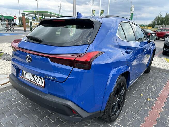 Piękny Lexus UX 250H