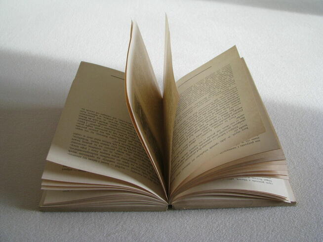 Ivanhoe, Walter Scott