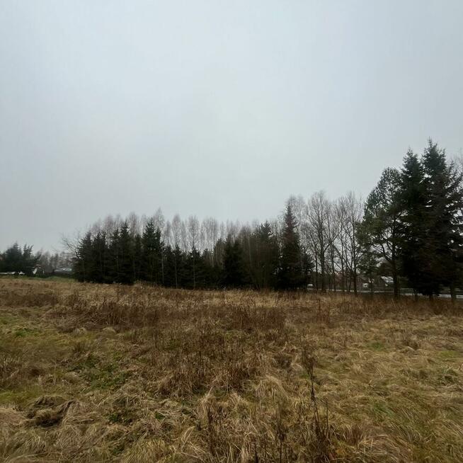 Działka budowlana 20 minut od Sky Bridge 721