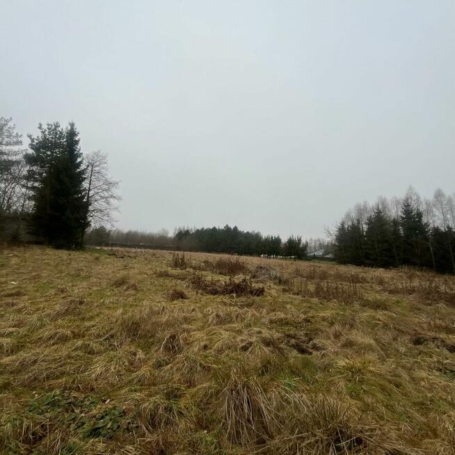 Działka budowlana 20 minut od Sky Bridge 721