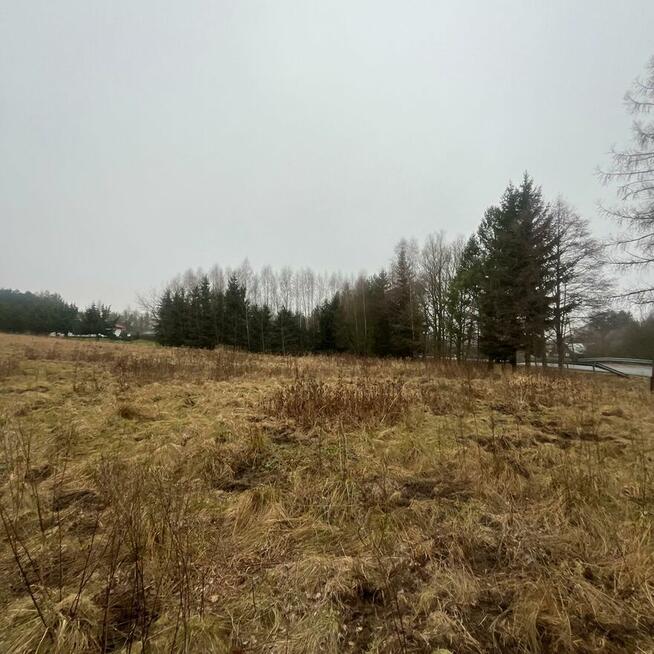 Działka budowlana 20 minut od Sky Bridge 721