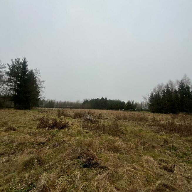 Działka budowlana 20 minut od Sky Bridge 721