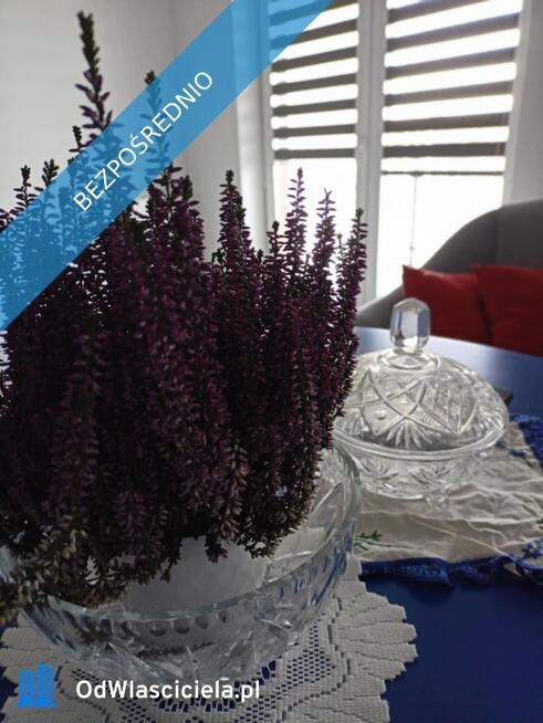 SPRZEDAM MIESZKANIE W ŁAŃCUCIE