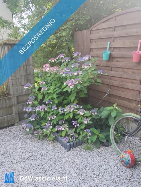 Bezczynszowe 3 pokoje z ogródkiem i z przynależnym miejscem postojowym