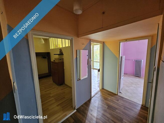 Przestronna kawalerka 37 m² z widokiem na park, w cichym bloku z cegły.