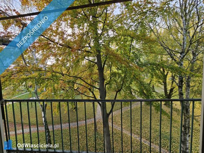 Przestronna kawalerka 37 m² z widokiem na park, w cichym bloku z cegły.