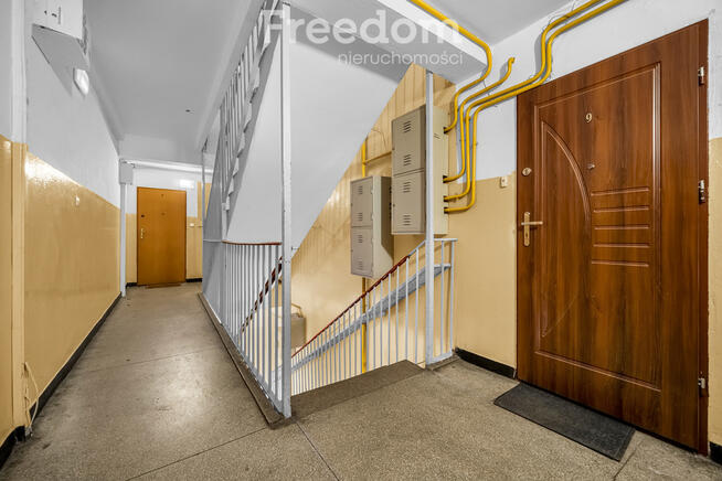 Ustawna, słoneczna kawalerka