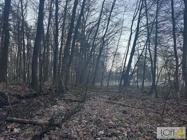 Działka budowlana Waryś gm. Borzęcin